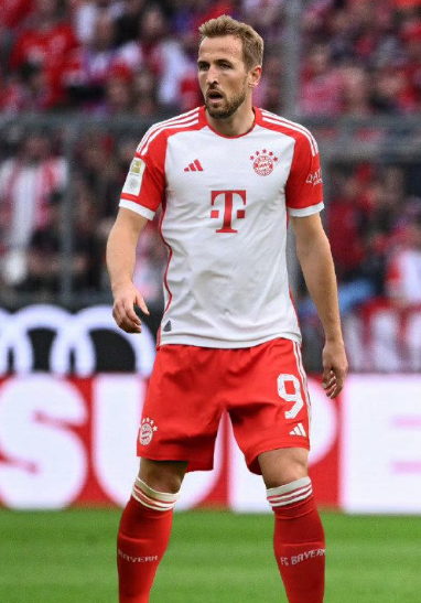 凯恩谈英格兰世界杯征程：夺冠方能满足国民期待